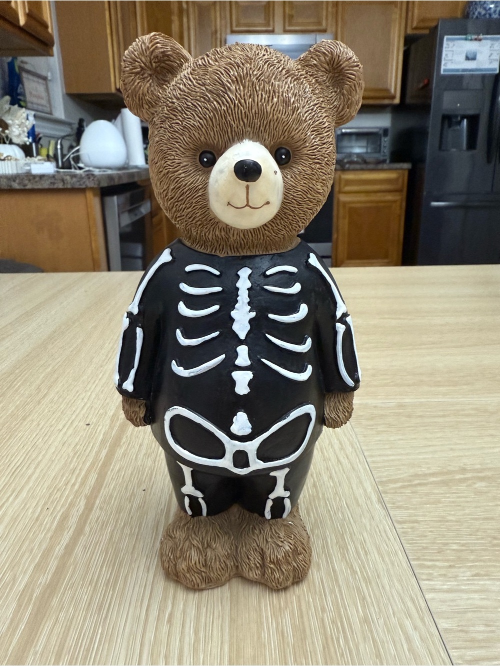 Xray bear decor